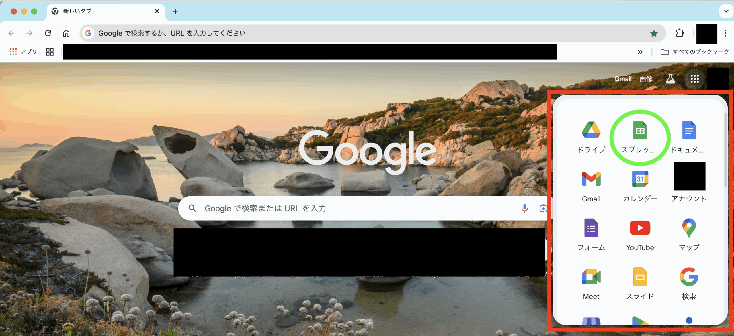 Google Chrome